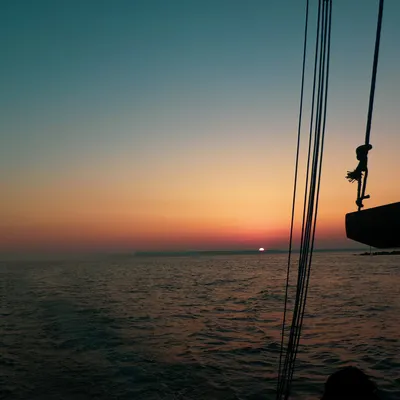 Wall E Chen的沙龍