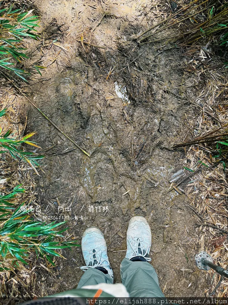 【閂山鈴鳴.挑戰兩日走50公里】王小明民宿/730林道/ 海