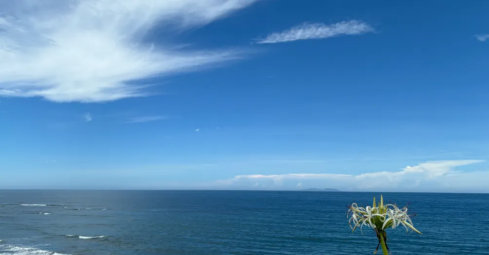 不識本心，學法無益