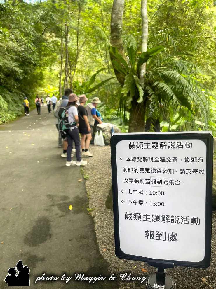 在入口處的解說員引導下，聆聽蕨類的生長過程，原來每一片葉子的展開都蘊藏著大自然的巧思。生動的講解讓原本不起眼的蕨類變得有趣又充滿驚奇。