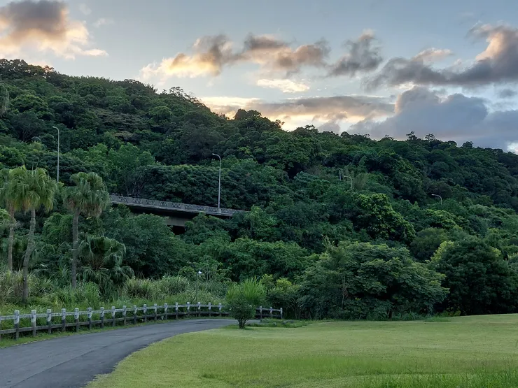可以看到南深路的一景
