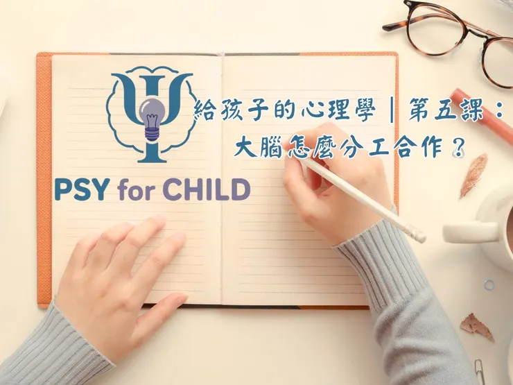 給孩子的心理學｜第五課：大腦怎麼工作？左右腦分工、前中後腦功能一次搞懂