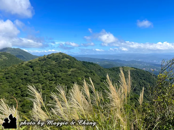 走在山路上,兩旁的芒花隨風輕搖,閃著銀白的光。抬頭望向對面的山頭,層層綠意在藍天白雲下延展,風景靜靜展開,讓人忍不住放慢腳步。