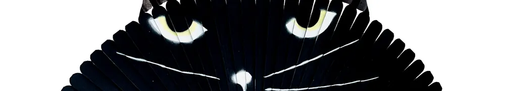 這個男人與他的貓的沙龍