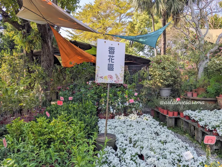 香花區