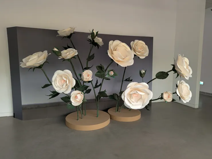 馮•沃爾夫    「驕傲的玫瑰」