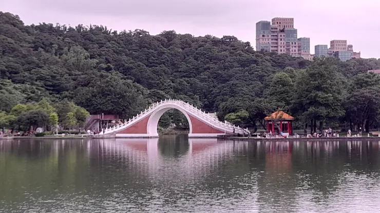 如出水芙蓉的拱橋。