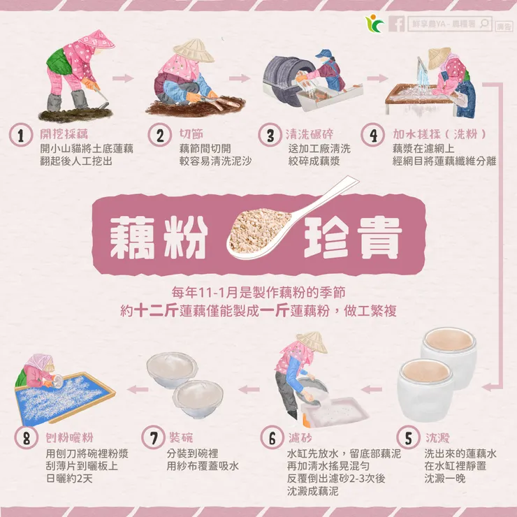 (圖片來自:鮮享農YA - 農糧署)