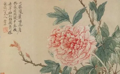清代惲壽平牡丹圖
