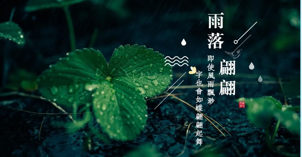 雨落翩翩的沙龍