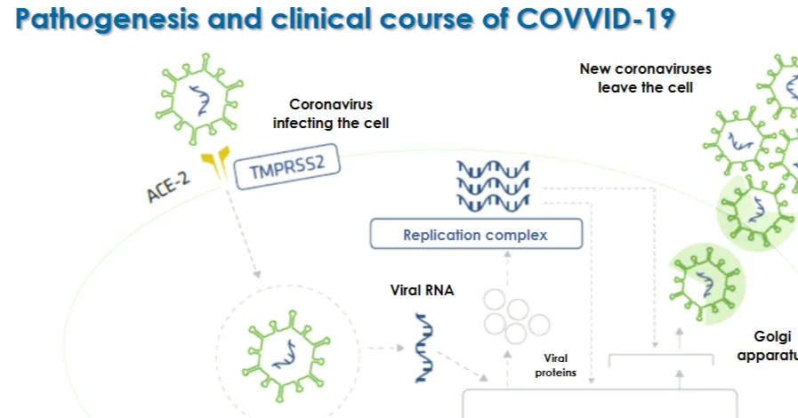Alexi Huang的沙龍
