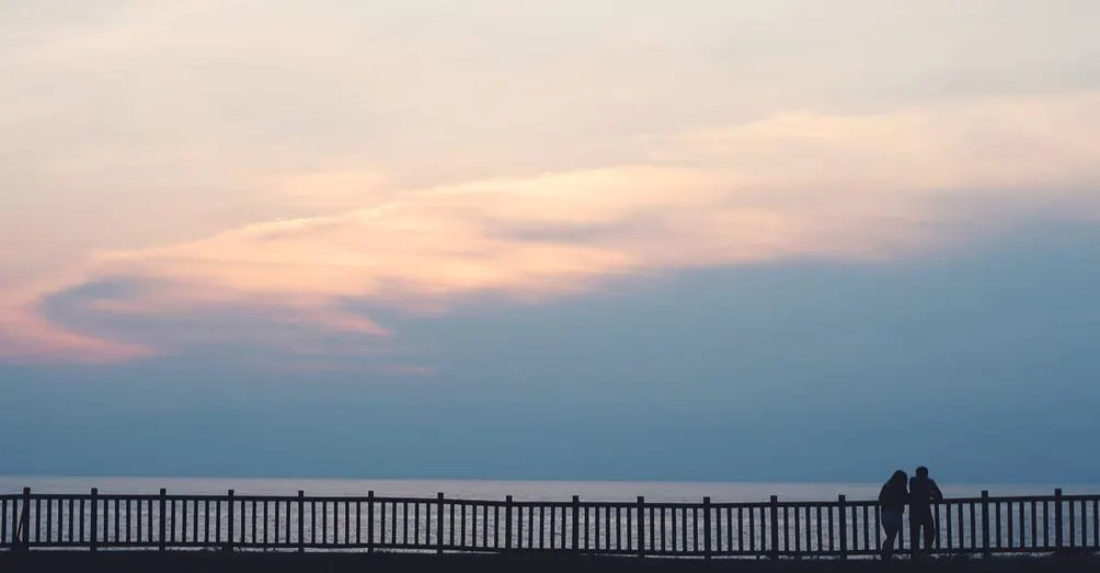 臨時將就取做恐龍｜DNO 