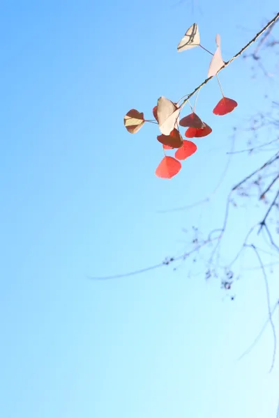 相簿裡最捨不得刪的照片：「禪」