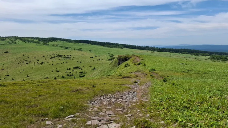 有擎天崗草原的感覺