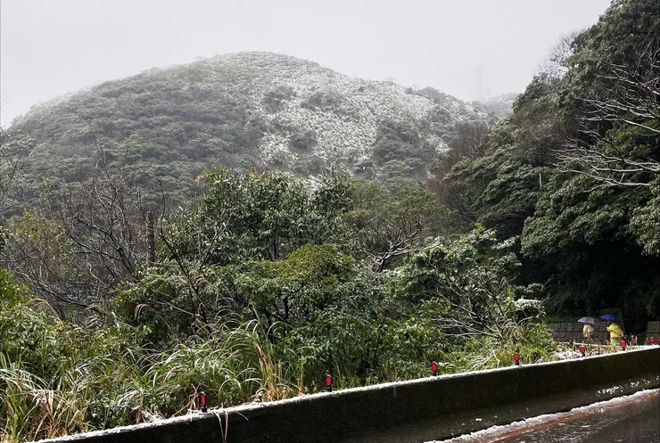 白了頭的大屯山。(攝影:抱城。)