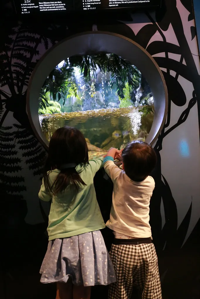 沖繩。美麗海水族館