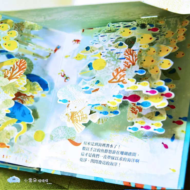 乾淨、美麗的海洋才是我們一直夢寐以求的