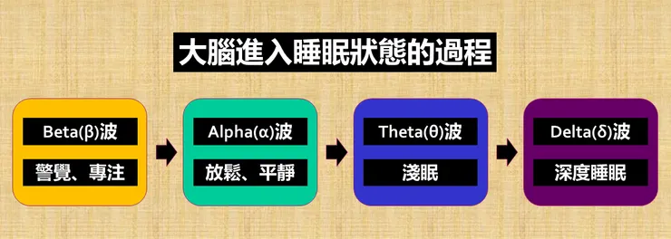 大腦進入睡眠狀態的過程示意圖