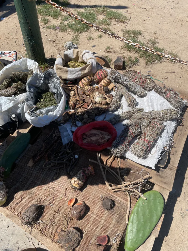 一堆嬉皮在山上採的野生神聖草藥、香料等等