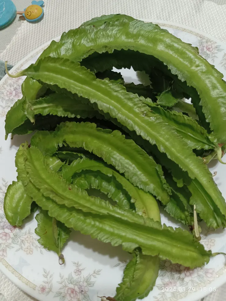 呼詢農夫與閒聊，遺我四角豆（翼豆）；蒜頭米酒清炒之，清脆宜口