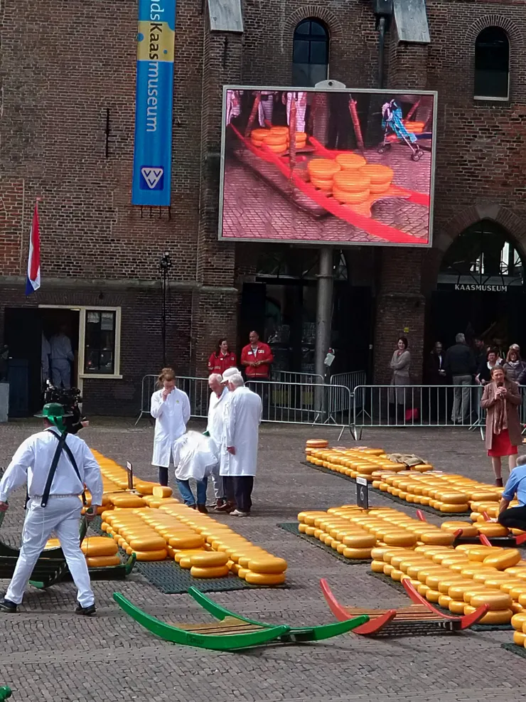 廣場上擺滿了起司