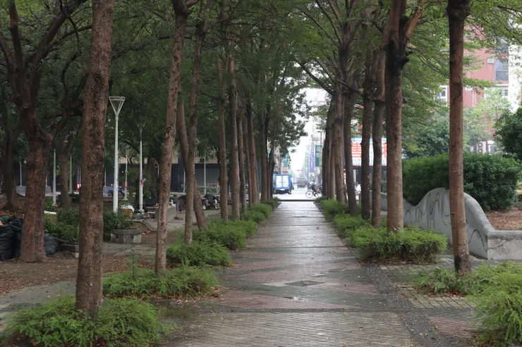 仁愛公園內正對莒光街的綠廊道