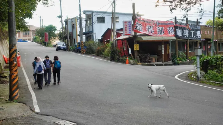 達邦部落~狗狗很好奇喔!