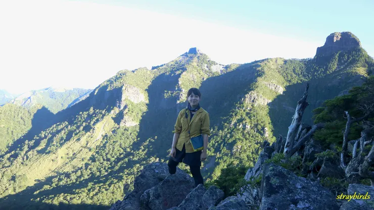 在森林裡爬升一小段後，終於上了稜線，視野漸開，可以由不同角度眺望大小霸。