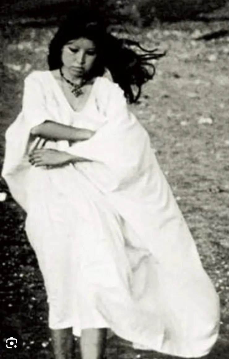 圖片取自維基百科