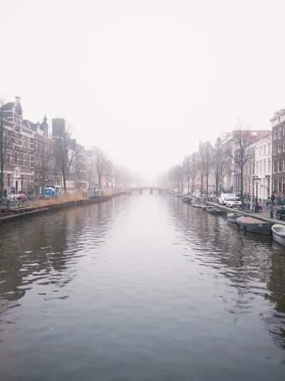 阿姆斯特丹不負責任觀察日記