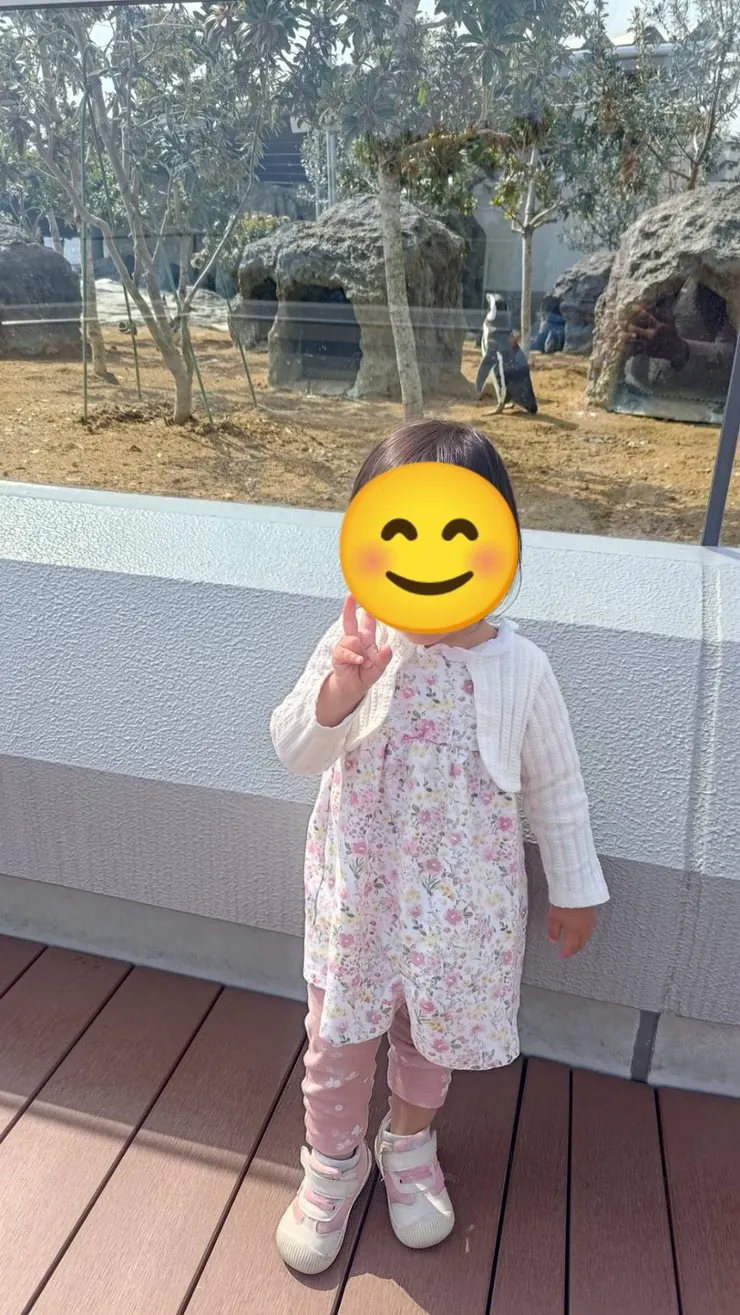 後面那片玻璃大概150公分而已！第一次聞到企鵝的便便味