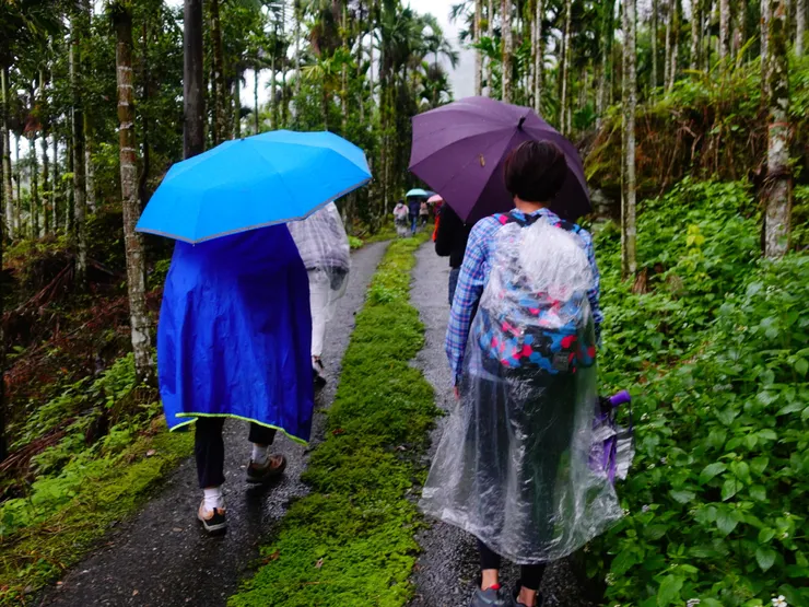 上山的道路差不多就是醬