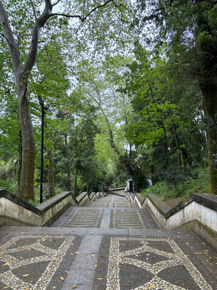 下公車後前往朝聖所的步道