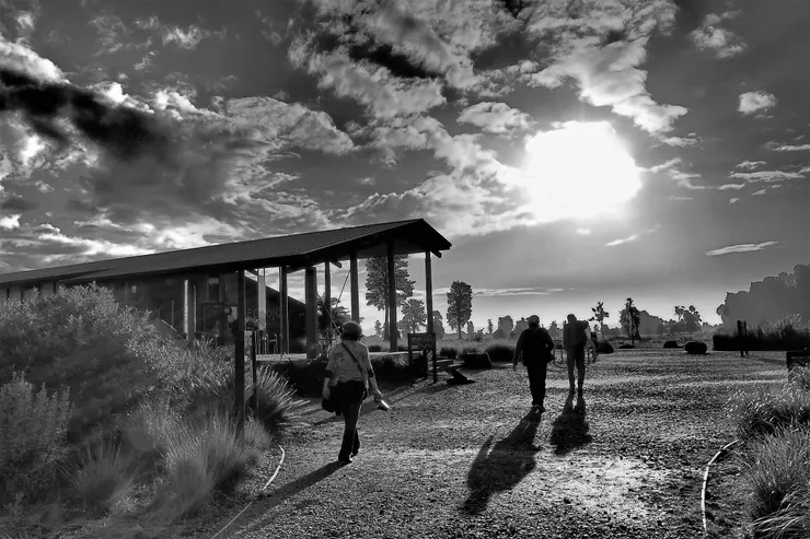 小鎮「Fox Glacier」