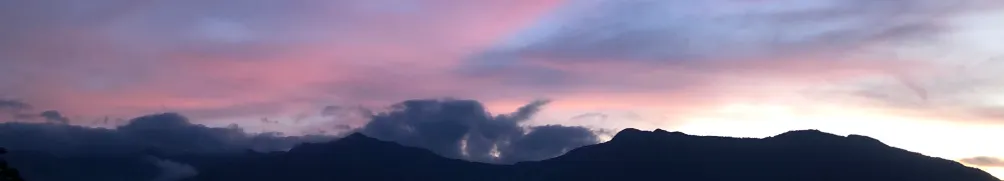 38號小姐的沙龍