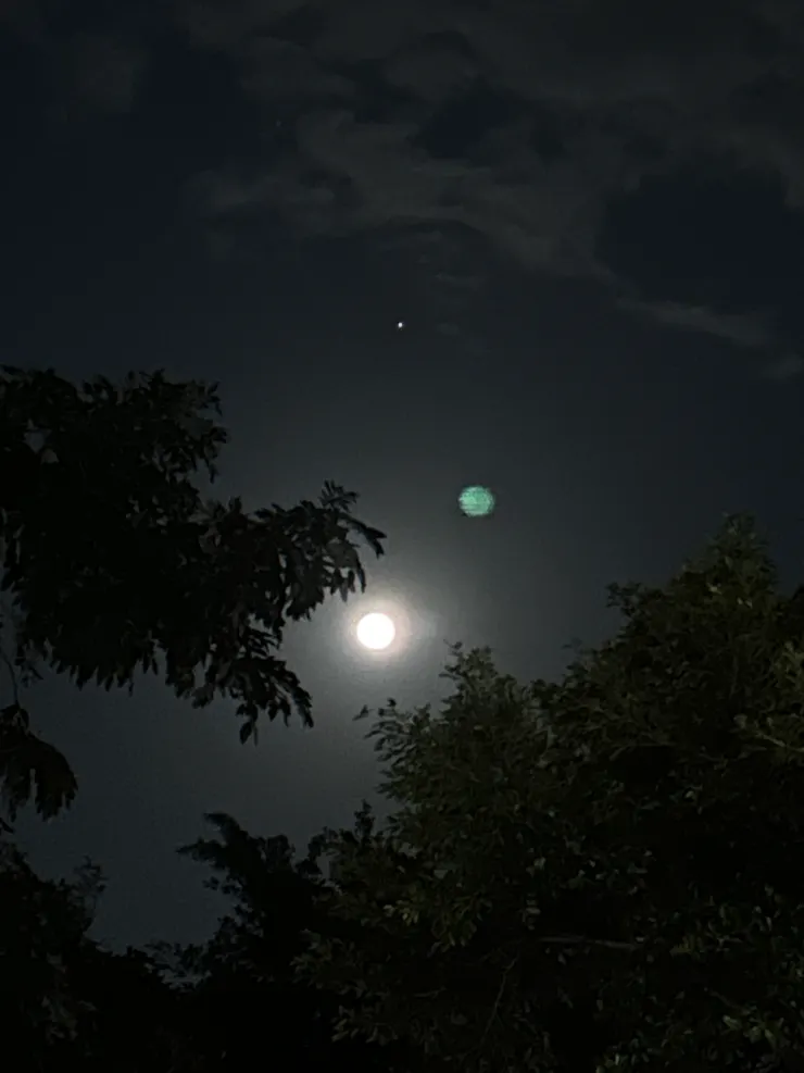 附上今年第一個滿月🌝