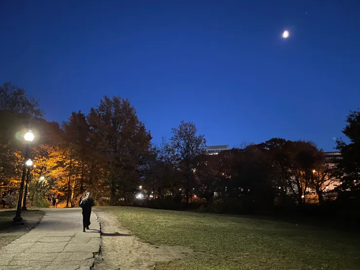 Blue Night in Back Bay Fens