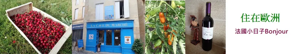 乳酪的Camino和歐洲日記