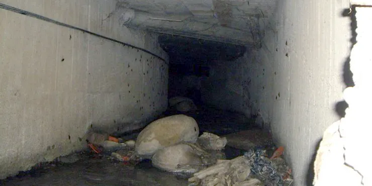 故事中的下水道本人