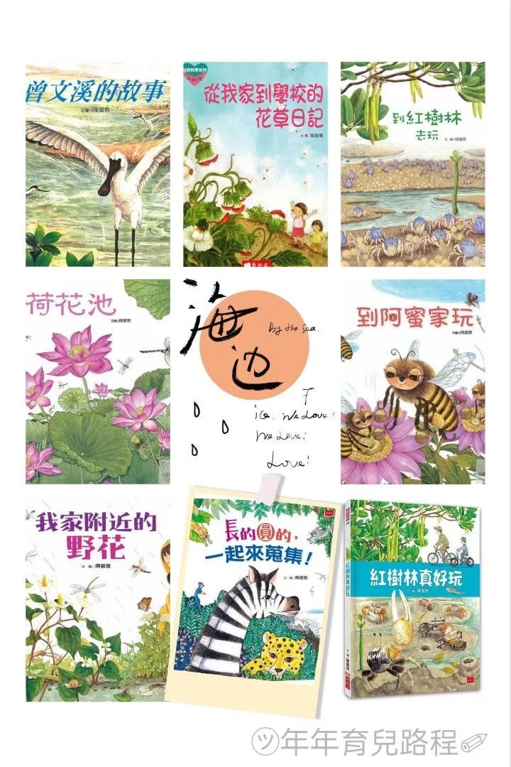 陳麗雅-繪本合輯