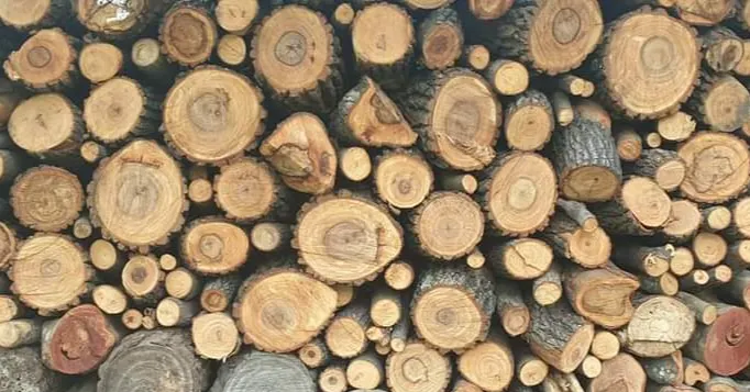 愛里布里😎的回憶事+現在式