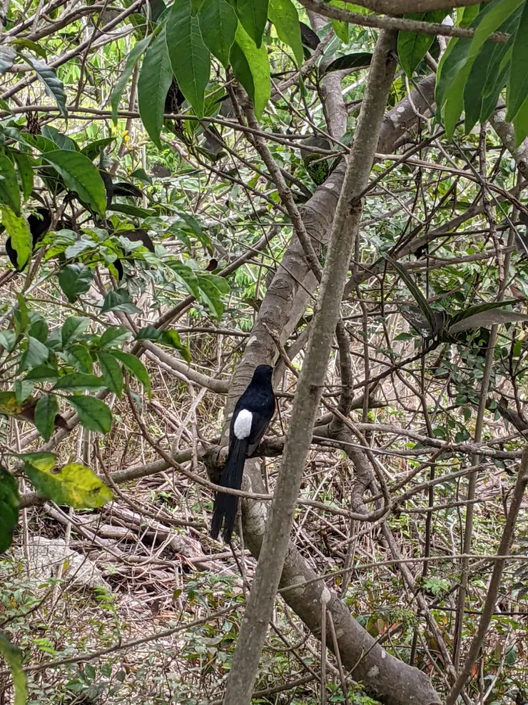 也太清楚了吧！