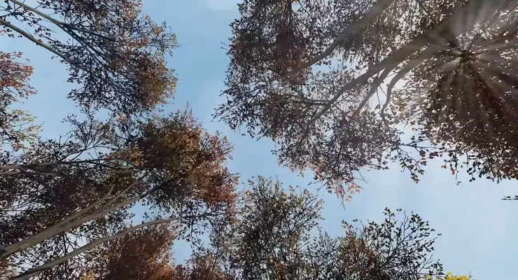 《末日小隊請登入》電影畫面。（來源：官方預告片）