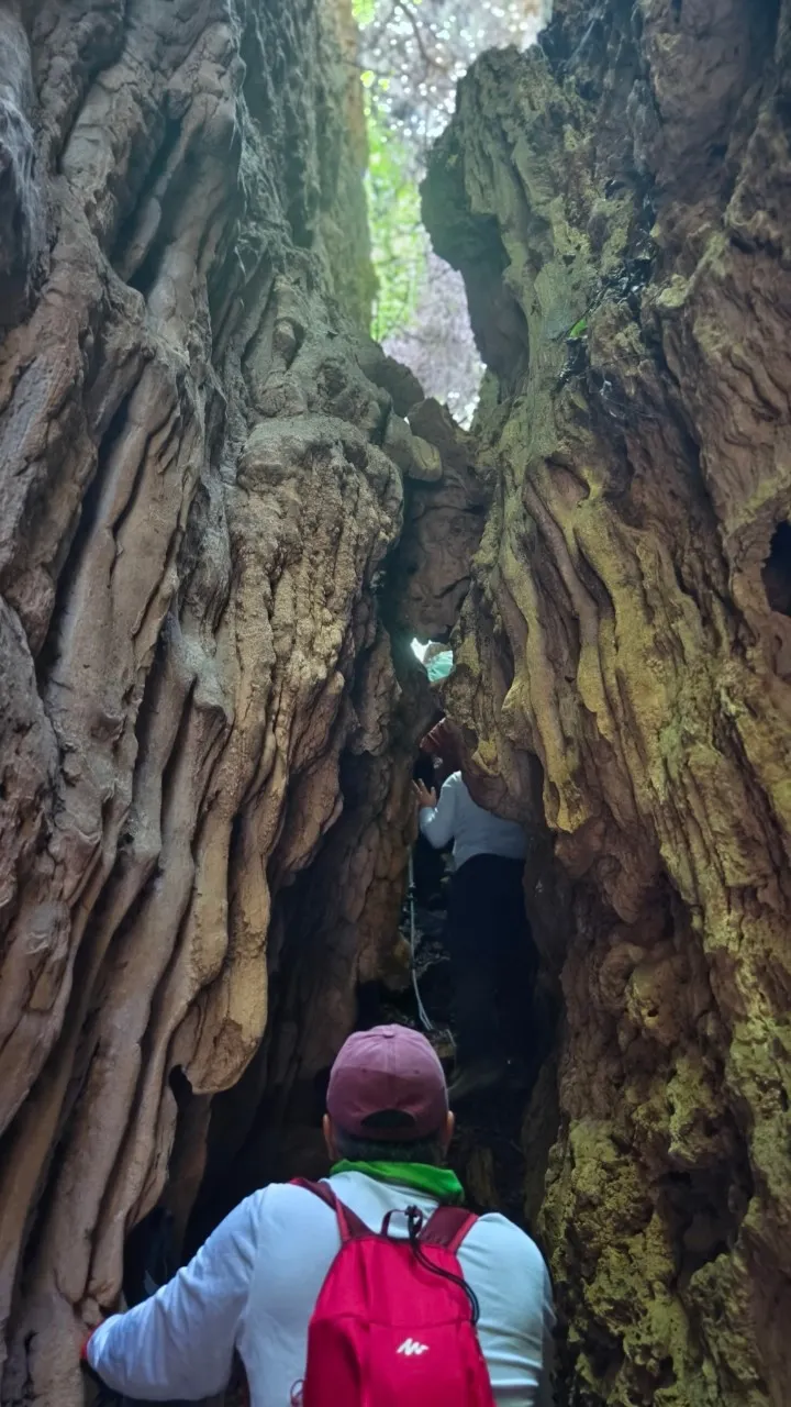 大峽谷出口處兩旁鐘乳石