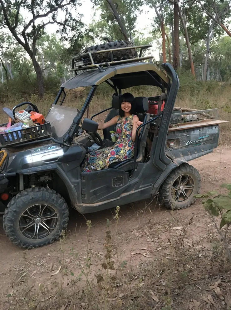 在澳洲開OZ伐木工的拔山倒樹之車