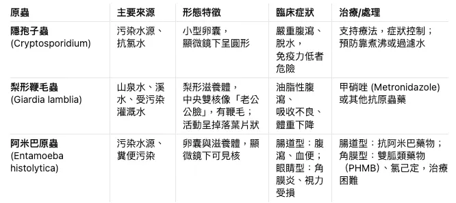 三種寄生蟲比較