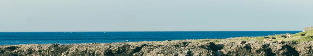 寫一些東西的地方