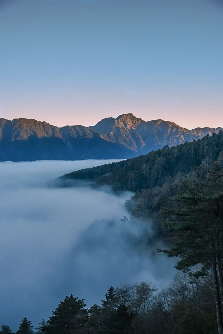 大禹嶺的奇萊雲海。