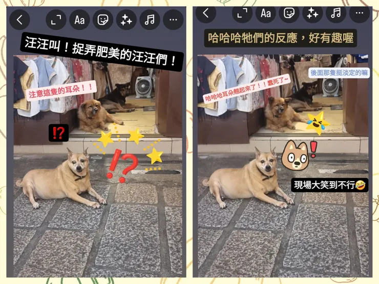 回「神隱」的路上，發現汪汪！牠們的表情和反應好有戲！汪汪們傻眼！阿笑也傻眼！