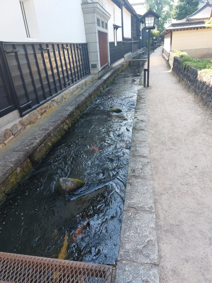 瀨戶川的樣子，距離感真的很近~